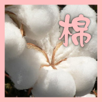 純棉