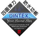 dintex